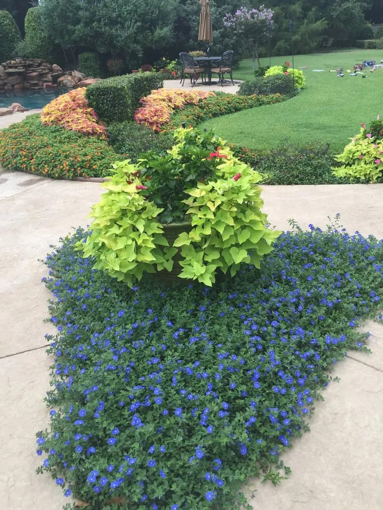 Trusted lawn mowing service in Sanger, TX - Gro-Pro Horticulture Services