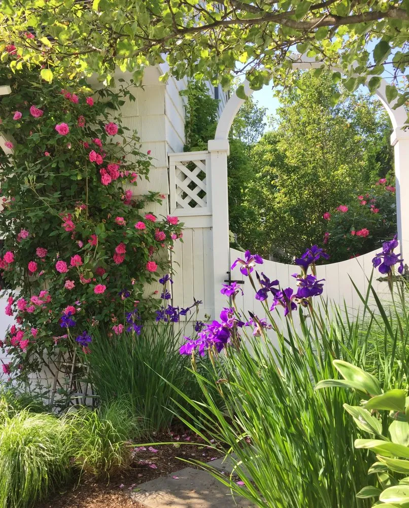 Expert lawn care service in Old Greenwich, CT by Gro Pro Landscape