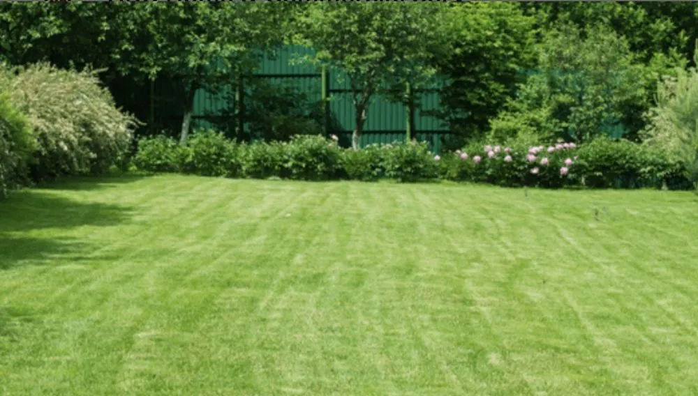 Local outdoor landscaping in Soddy-Daisy, TN - Gro Pro Lawn Care