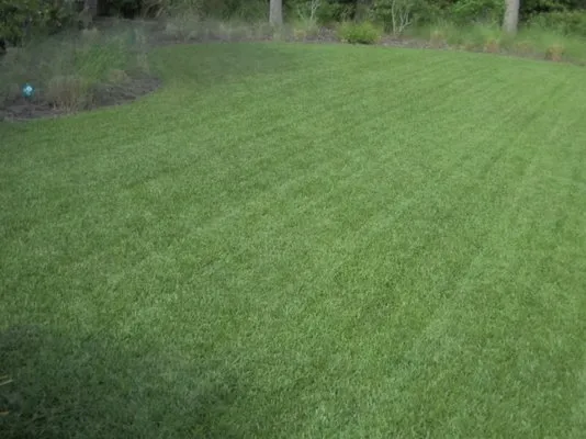 Gro Pro Lawn Care Logo