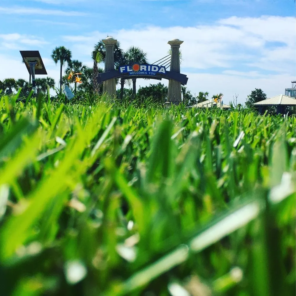 Affordable lawn mowing service experts serving Panama City Beach, FL - Gro Pro Turf & Ornamental