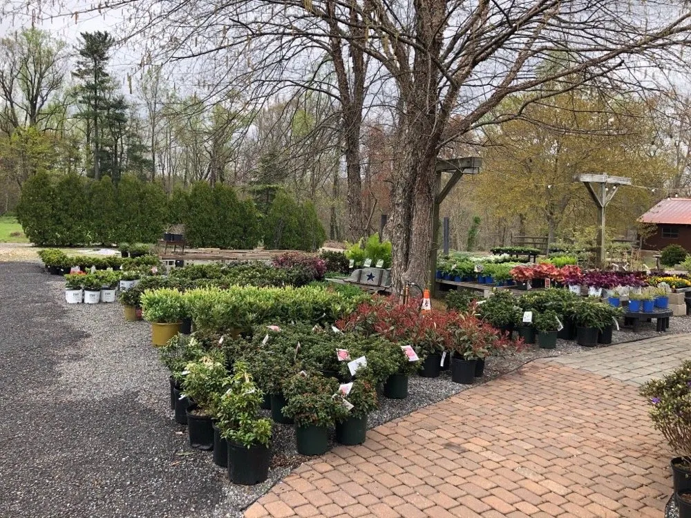 Local outdoor landscaping for year-round maintenance in Pitman, NJ by Groff's Nursery