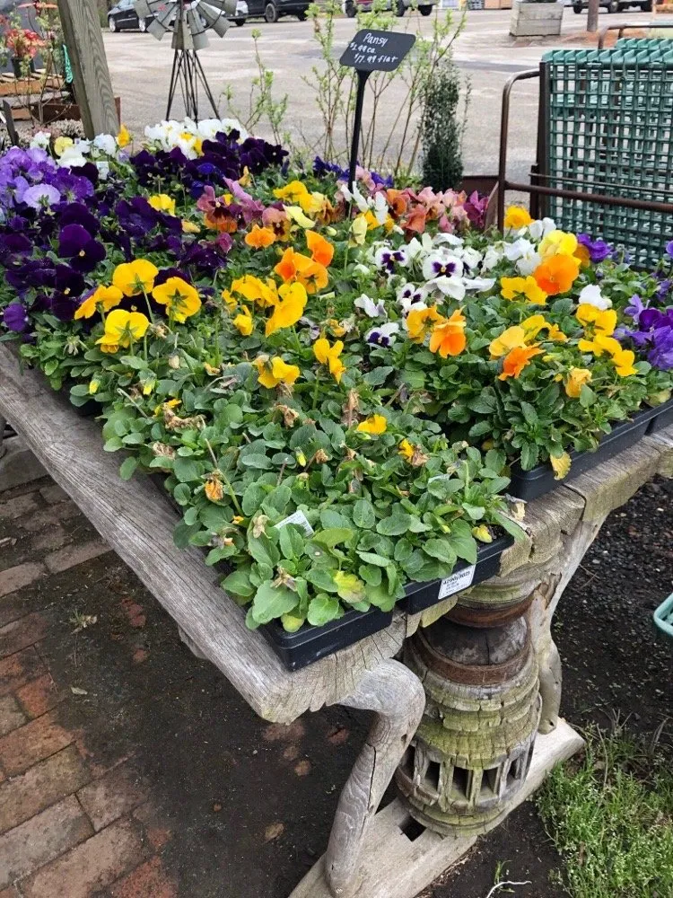 Top-rated yard cleanup service in Pitman, NJ - Groff's Nursery