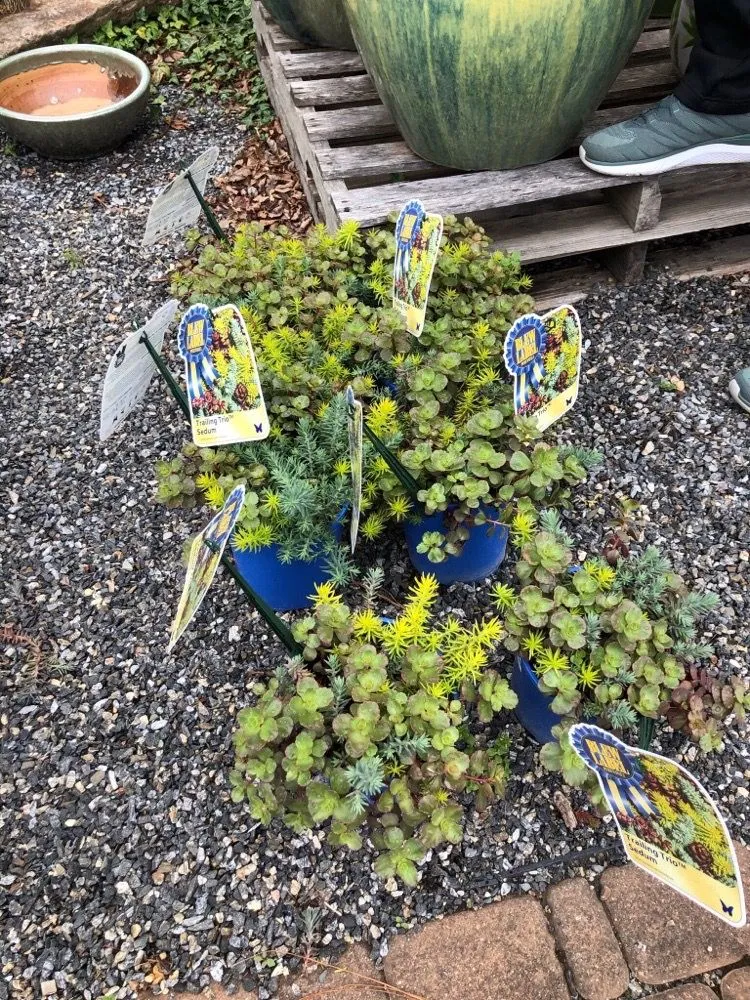 Local residential landscaping in Pitman, NJ by Groff's Nursery