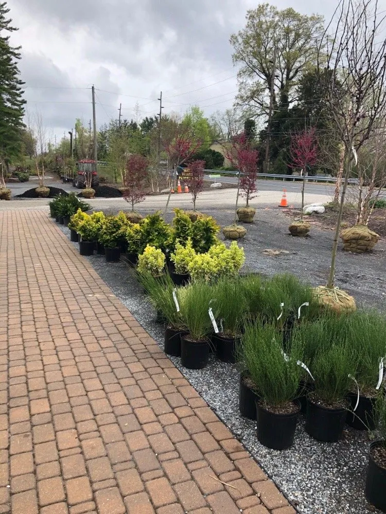 Professional outdoor landscaping experts serving Pitman, NJ - Groff's Nursery