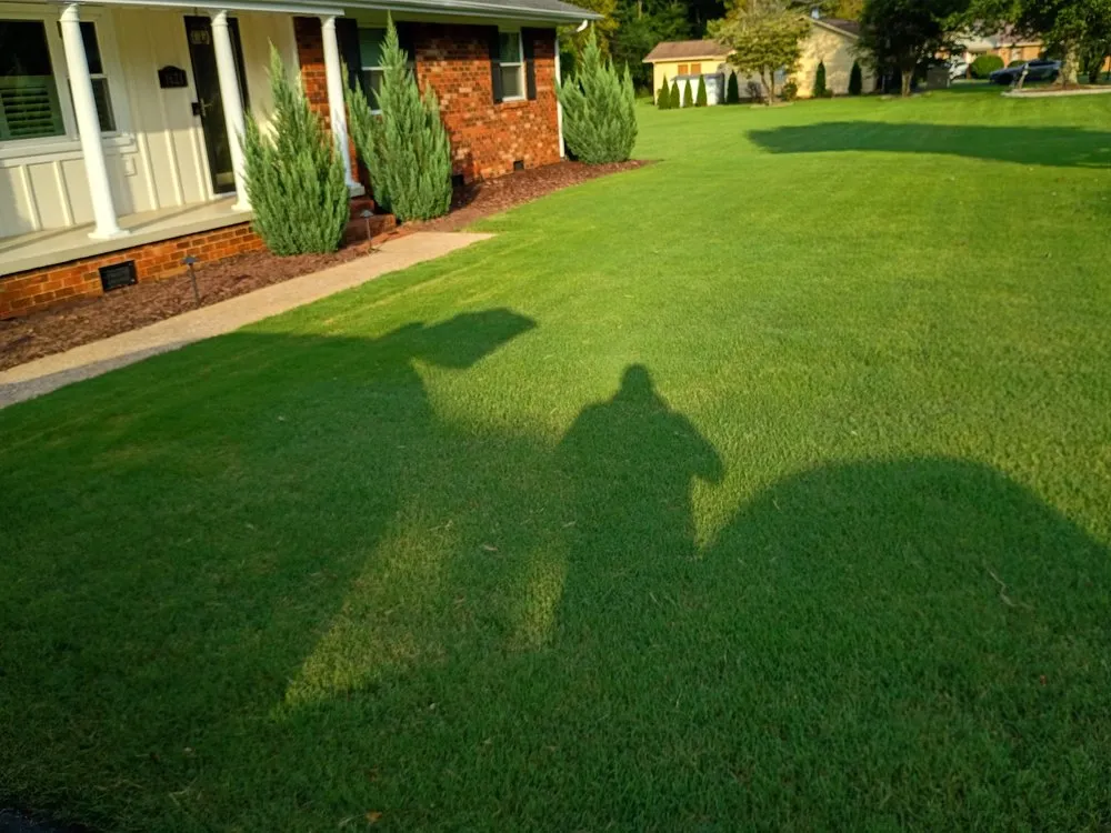 Top-rated yard cleanup service in Chattanooga, TN - GroGreen