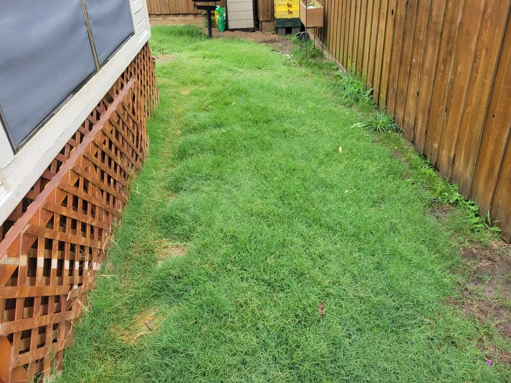 Affordable outdoor landscaping in Plano, TX - GroGreen