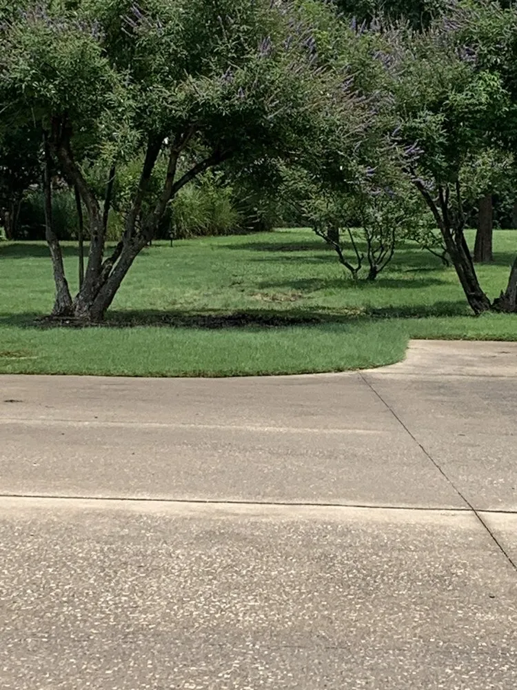 Expert residential landscaping in Plano, TX - GroGreen