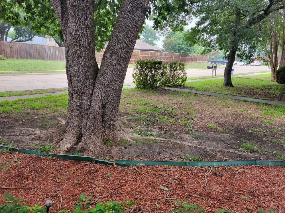 Affordable lawn care service experts serving Plano, TX - GroGreen