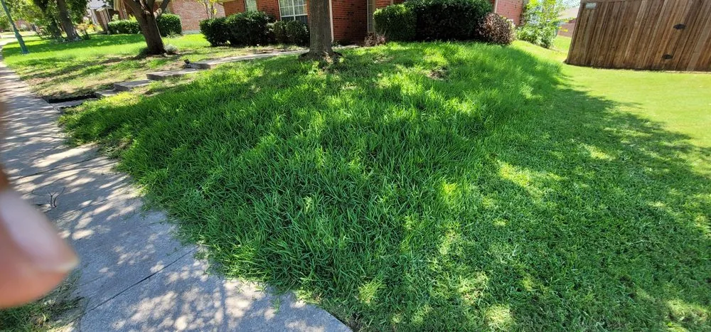 Local yard maintenance for outdoor upgrades across Plano, TX - GroGreen