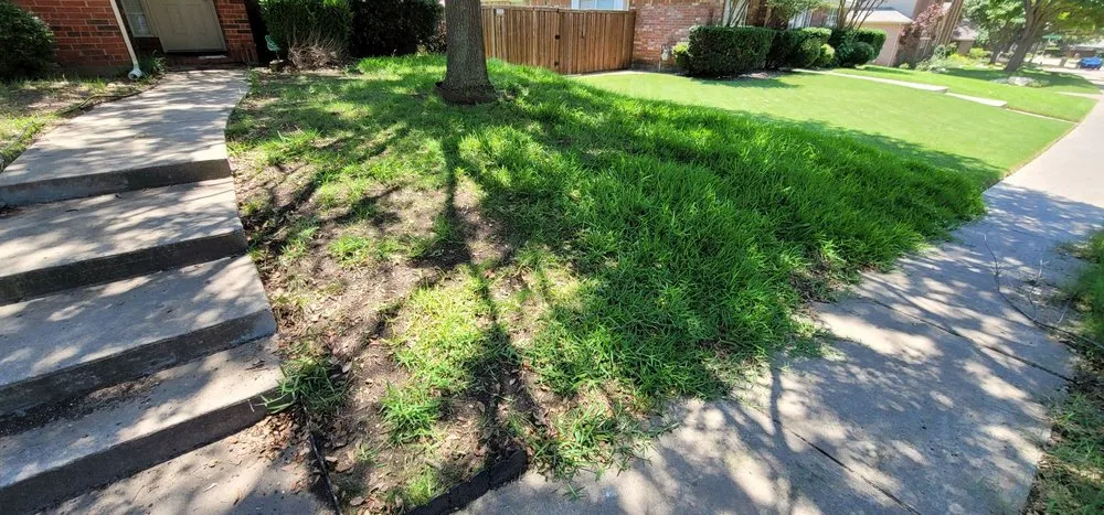 Local landscape design in Plano, TX by GroGreen