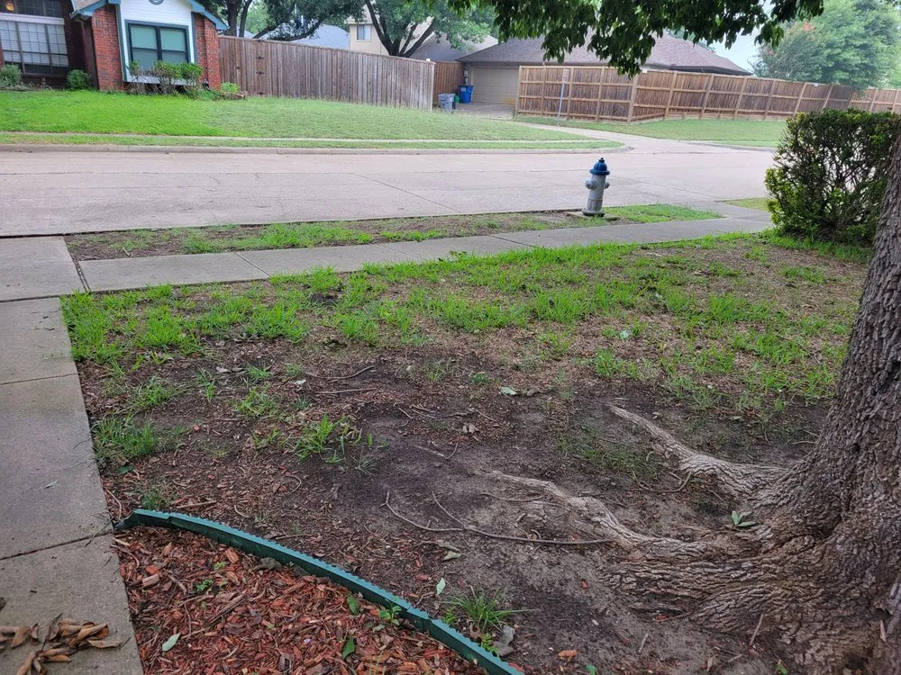 Expert landscape installation in Plano, TX - GroGreen
