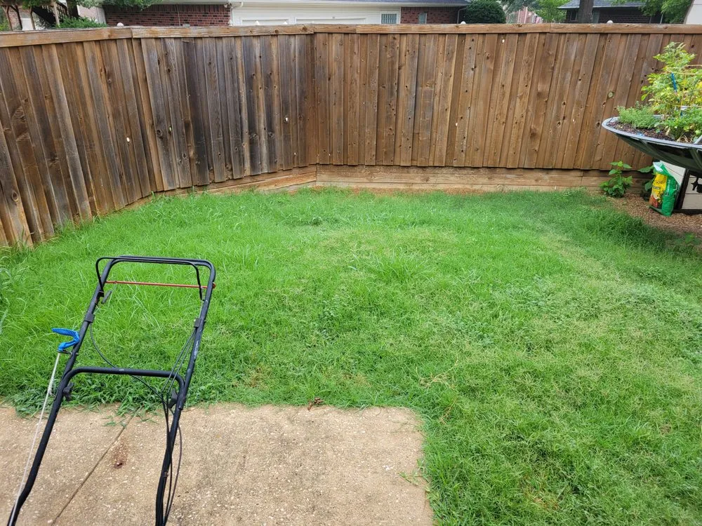 Professional landscape design for year-round maintenance across Plano, TX - GroGreen