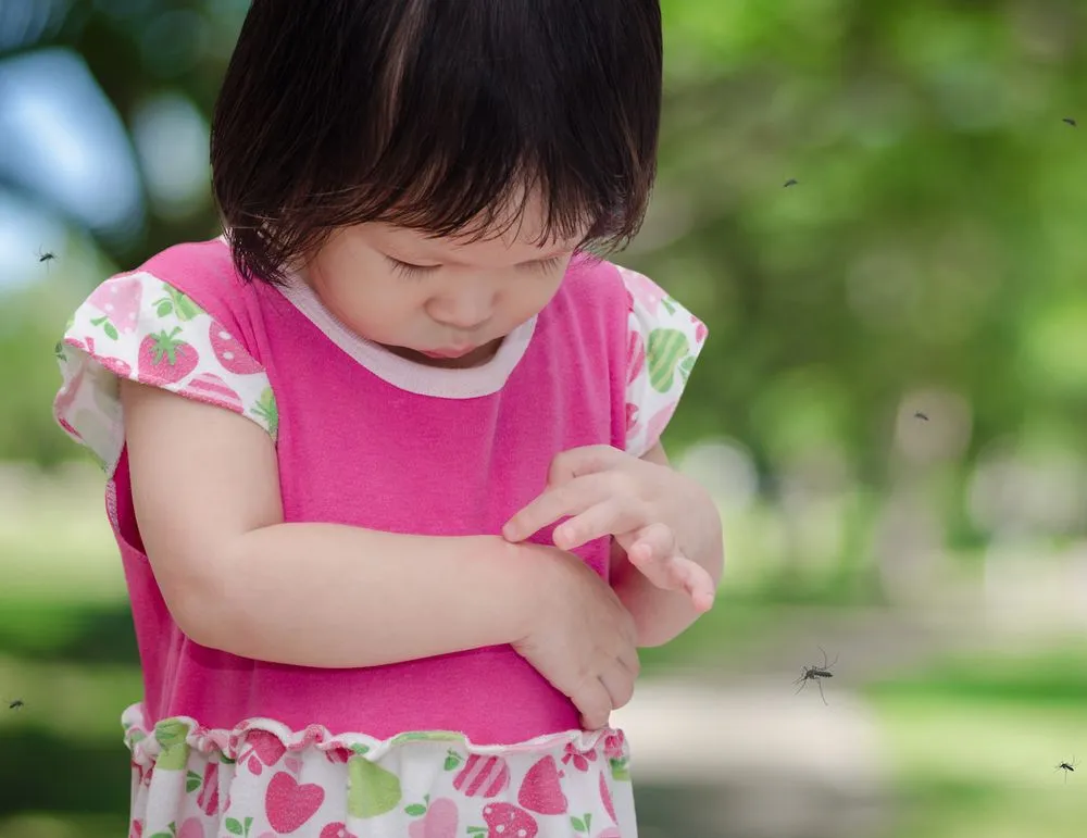 Expert yard cleanup service experts serving Plano, TX - GroGreen