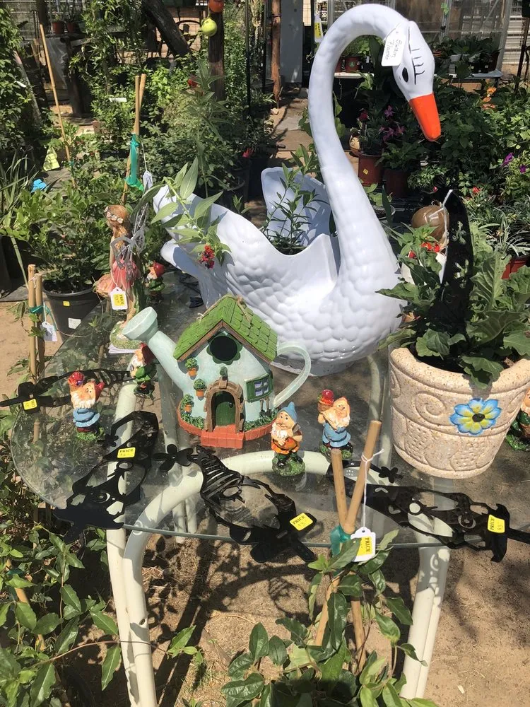 Top-rated garden landscaping for outdoor upgrades across Devine, TX - GroMore Gardens