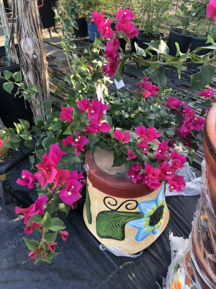 Expert garden landscaping in Devine, TX by GroMore Gardens