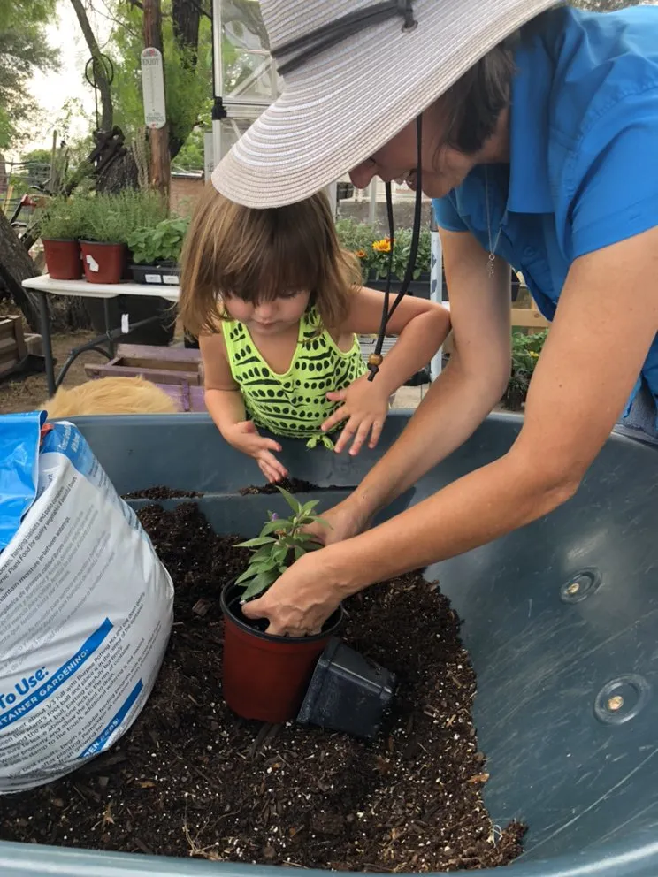 Professional yard maintenance in Devine, TX by GroMore Gardens