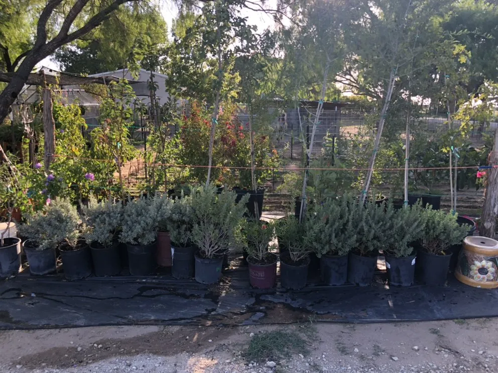 Affordable outdoor landscaping near you in Devine, TX by GroMore Gardens