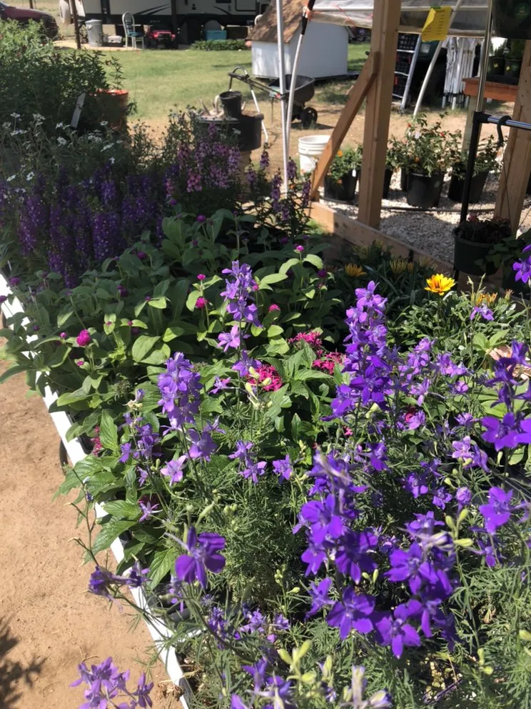 Affordable yard maintenance experts serving Devine, TX - GroMore Gardens