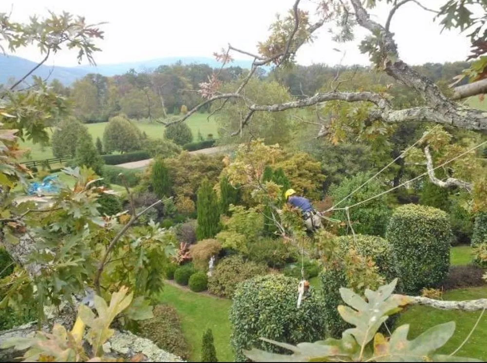 Top-rated residential landscaping experts serving Hampstead, NC - Groom & Bloom