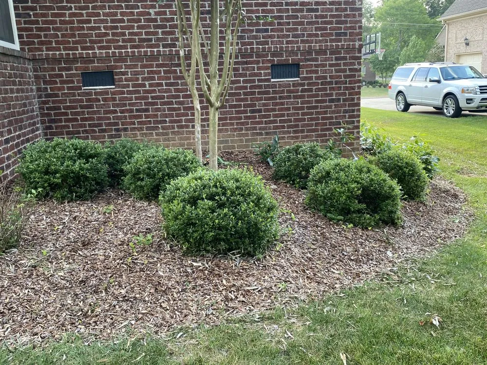 Custom landscape installation for beautiful yards across Smyrna, TN - Groom Tennessee Landscaping