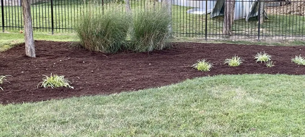 Trusted lawn care service experts serving Smyrna, TN - Groom Tennessee Landscaping