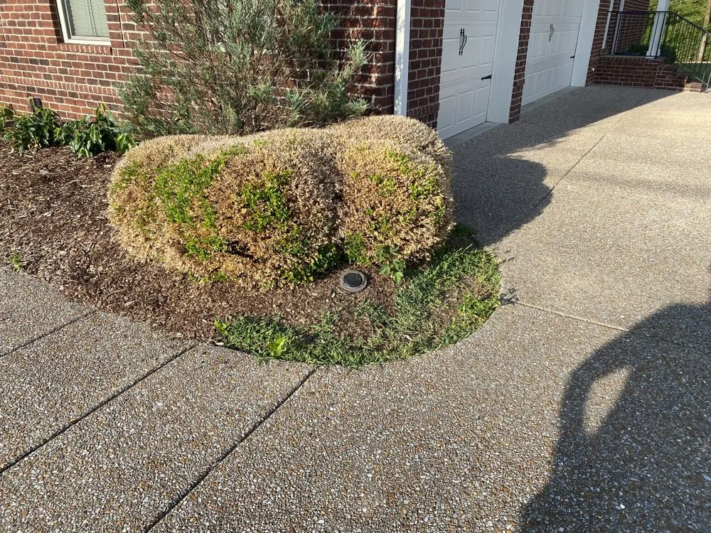 Affordable outdoor landscaping near you in Smyrna, TN by Groom Tennessee Landscaping