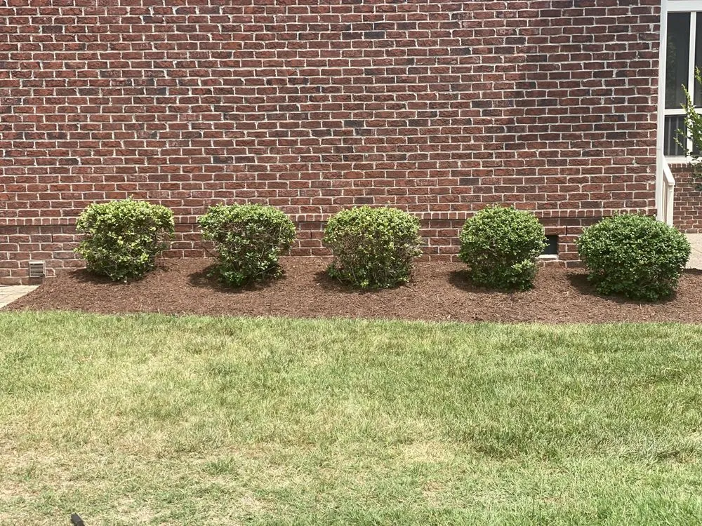 Expert lawn mowing service in Smyrna, TN by Groom Tennessee Landscaping