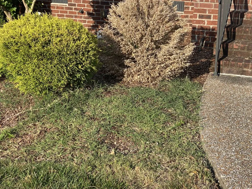 Affordable landscaping services in Smyrna, TN - Groom Tennessee Landscaping