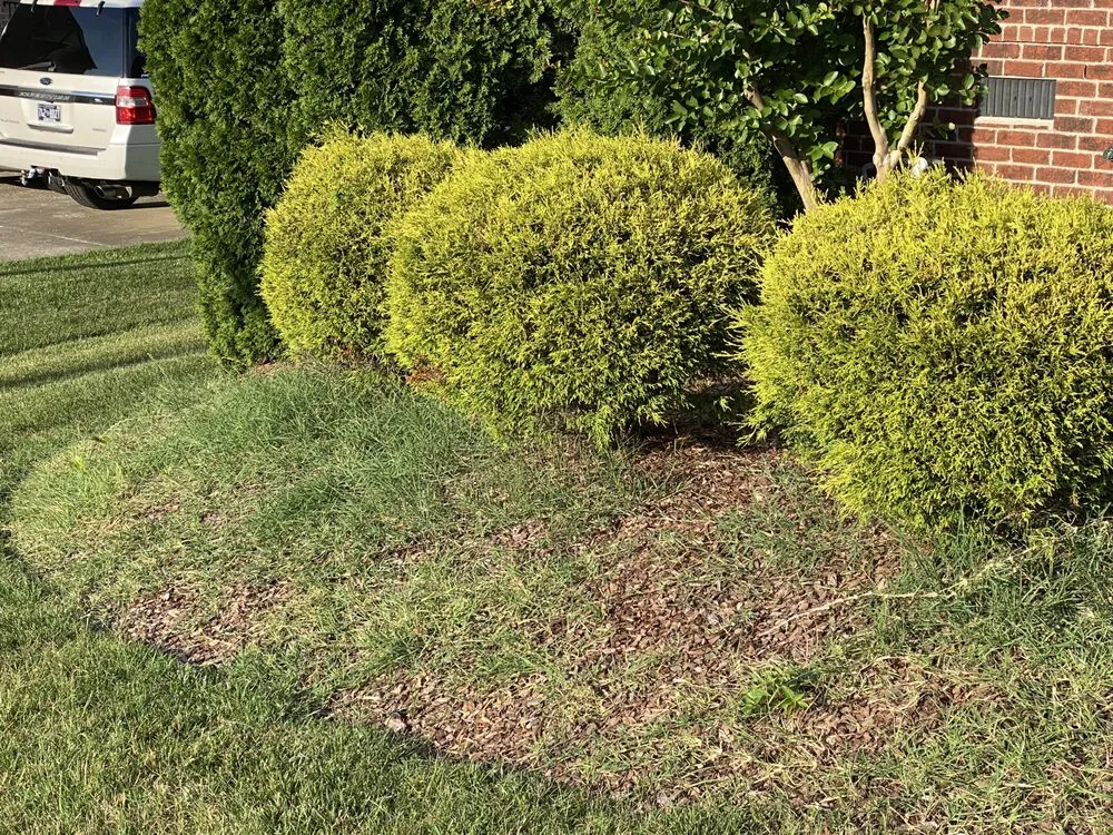 Reliable yard maintenance in Smyrna, TN - Groom Tennessee Landscaping