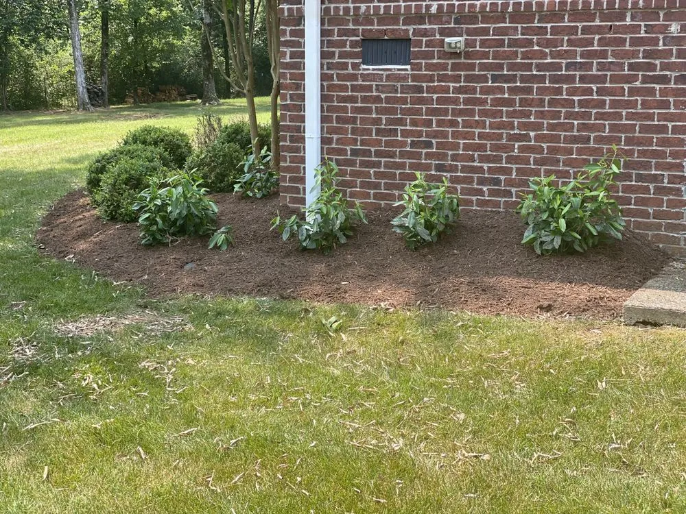 Affordable lawn care service for beautiful yards across Smyrna, TN - Groom Tennessee Landscaping