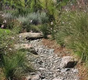 Affordable residential landscaping experts serving Oklahoma City, OK - Grooms Irrigation