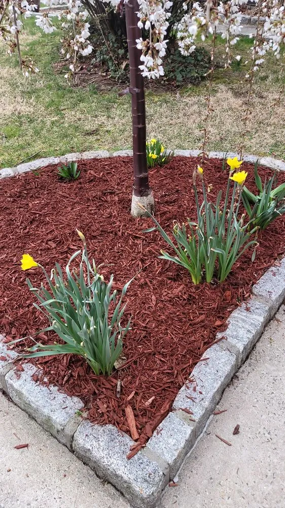 Top-rated yard cleanup service experts serving Yonkers, NY - Groot Landscaping