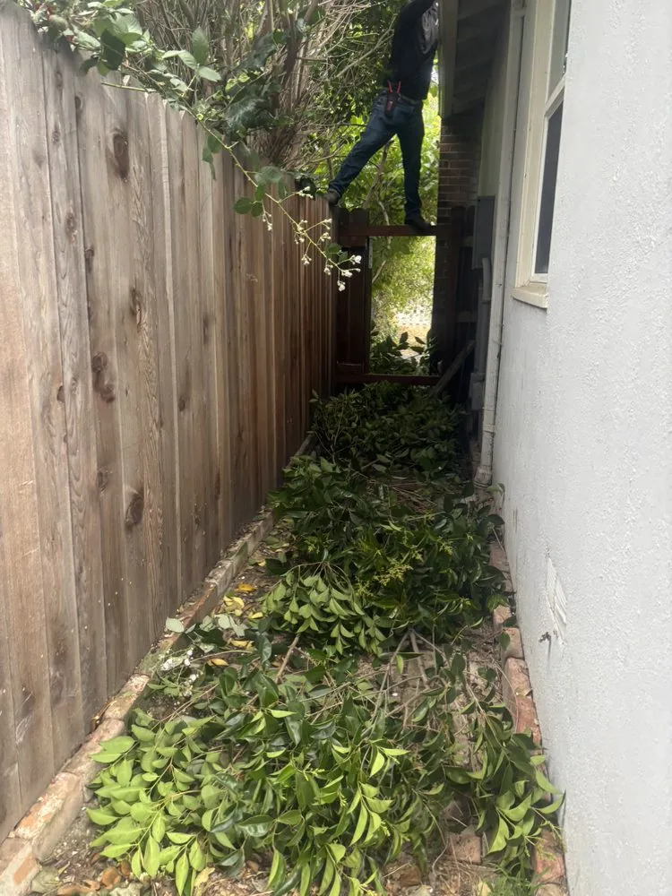 Expert residential landscaping in Oakland, CA by Grooting your Garden Landscaping