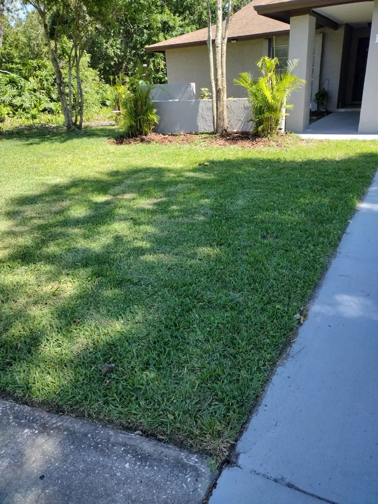 Top-rated outdoor landscaping for outdoor upgrades in Tampa, FL by GROOVIE TREE AND LANDSCAPING SERVICES