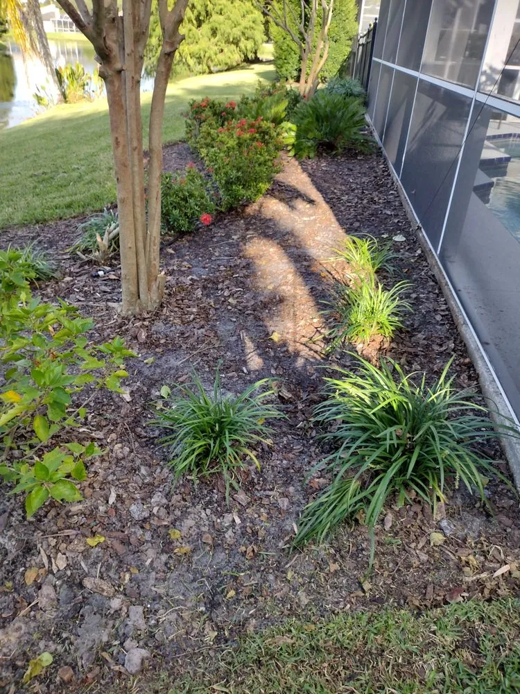 Trusted garden landscaping in Tampa, FL by GROOVIE TREE AND LANDSCAPING SERVICES
