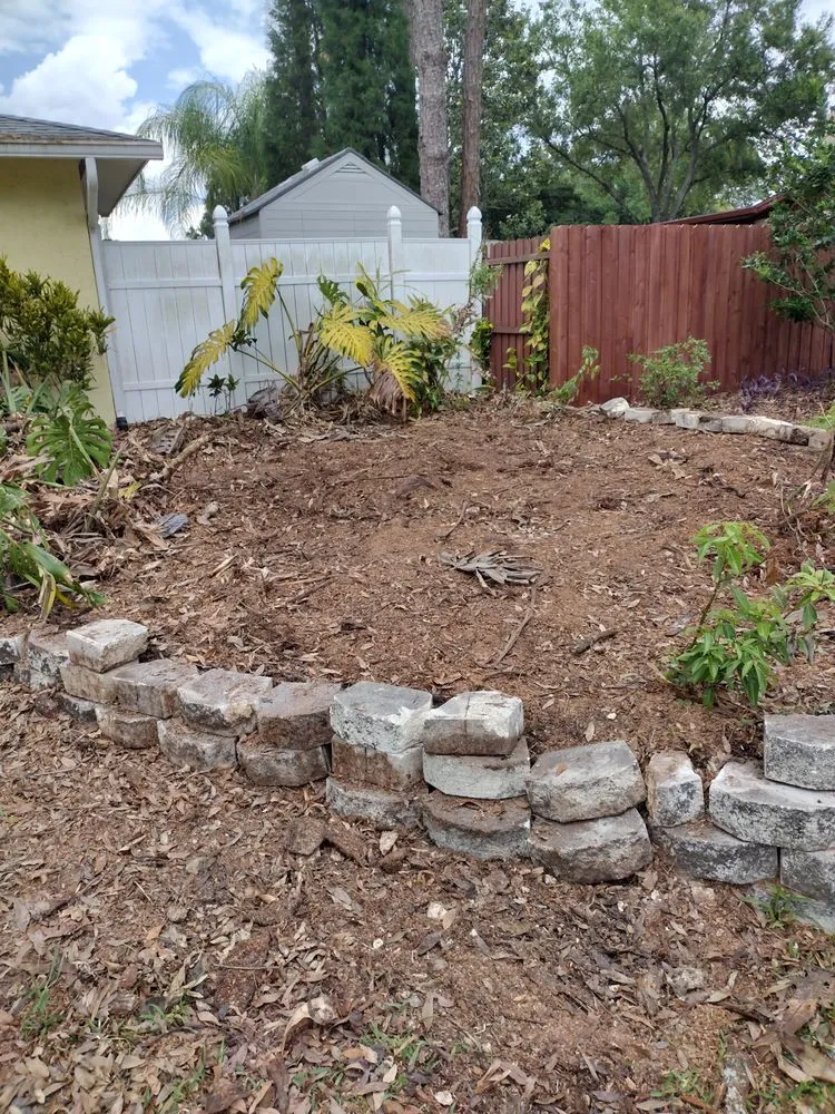 Trusted yard maintenance in Tampa, FL - GROOVIE TREE AND LANDSCAPING SERVICES