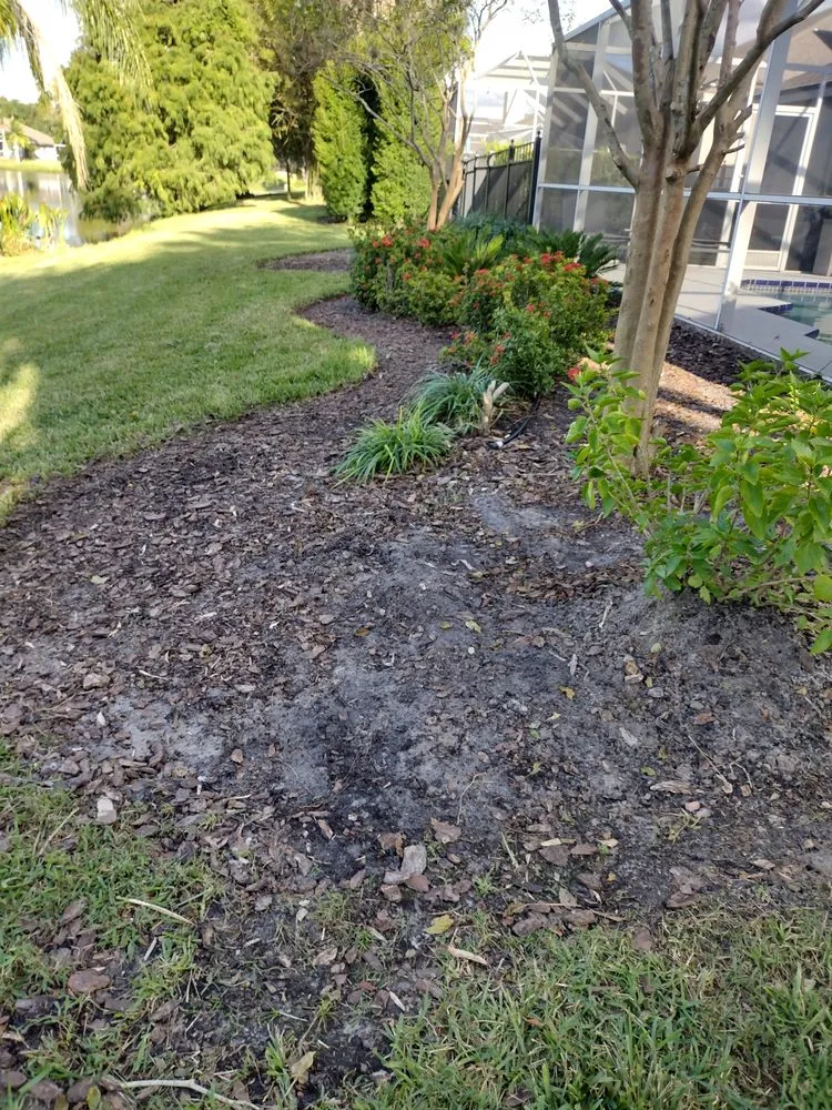 Trusted landscape installation experts serving Tampa, FL - GROOVIE TREE AND LANDSCAPING SERVICES