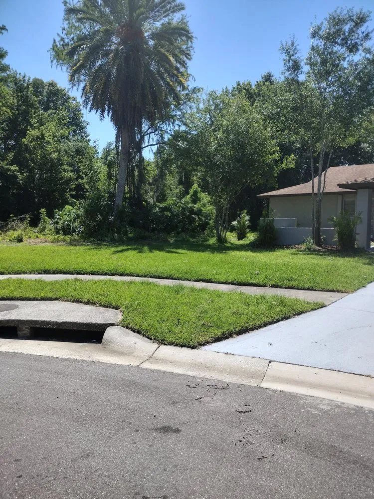 Expert landscaping services near you across Tampa, FL - GROOVIE TREE AND LANDSCAPING SERVICES