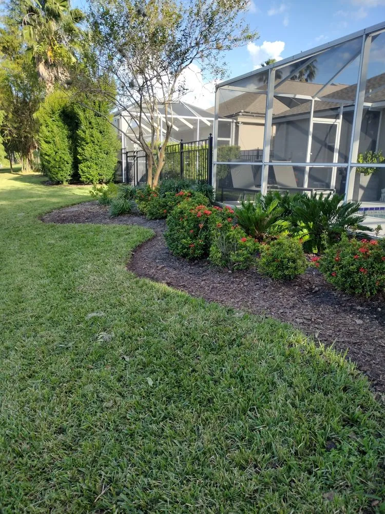 Trusted yard cleanup service for residential properties in Tampa, FL by GROOVIE TREE AND LANDSCAPING SERVICES