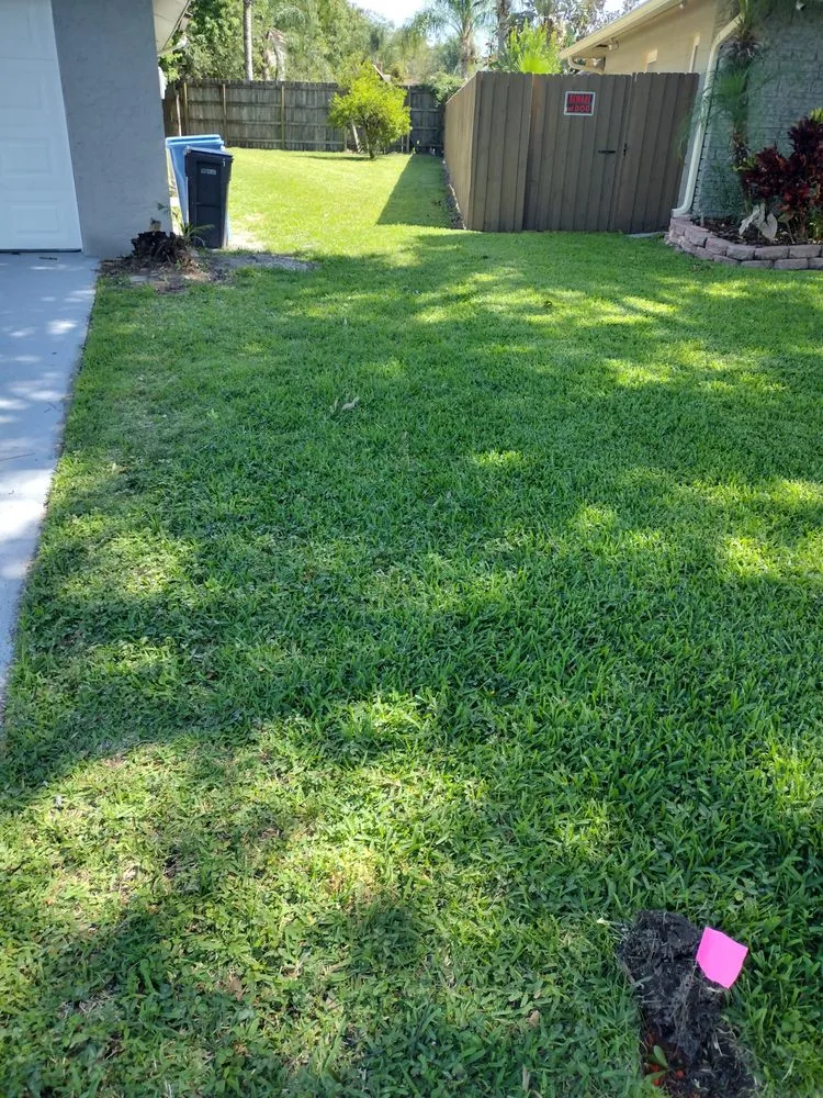 Affordable lawn care service in Tampa, FL - GROOVIE TREE AND LANDSCAPING SERVICES