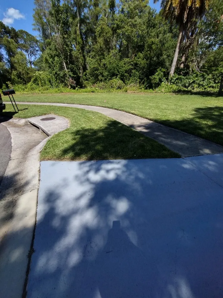 Top-rated landscaping services for year-round maintenance in Tampa, FL by GROOVIE TREE AND LANDSCAPING SERVICES