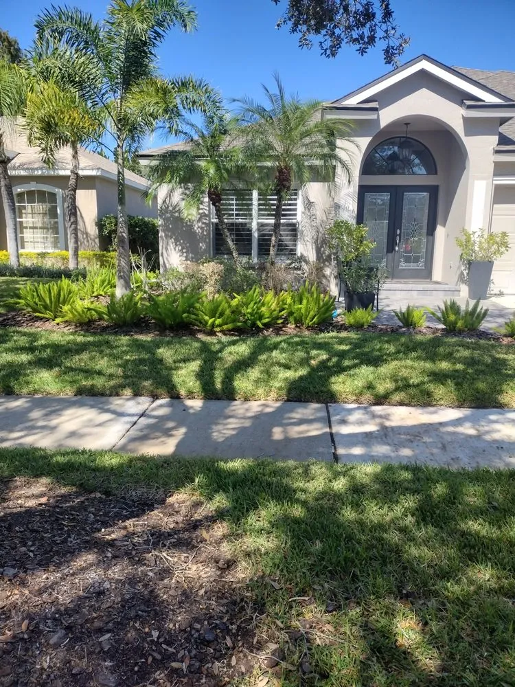 Custom yard maintenance experts serving Tampa, FL - GROOVIE TREE AND LANDSCAPING SERVICES