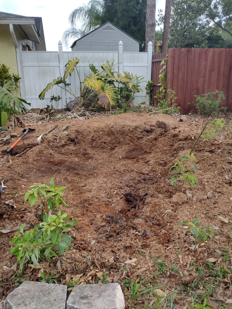 Expert landscape installation with custom design in Tampa, FL by GROOVIE TREE AND LANDSCAPING SERVICES