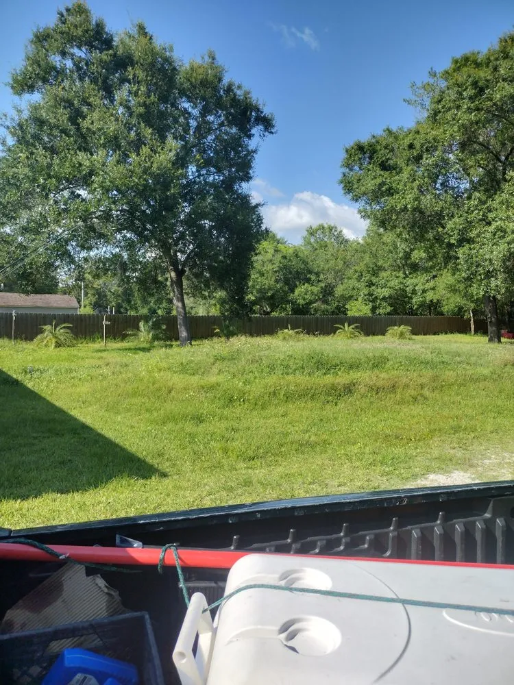 Professional yard maintenance in Tampa, FL - GROOVIE TREE AND LANDSCAPING SERVICES