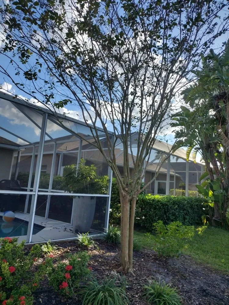 Professional landscaping services experts serving Tampa, FL - GROOVIE TREE AND LANDSCAPING SERVICES