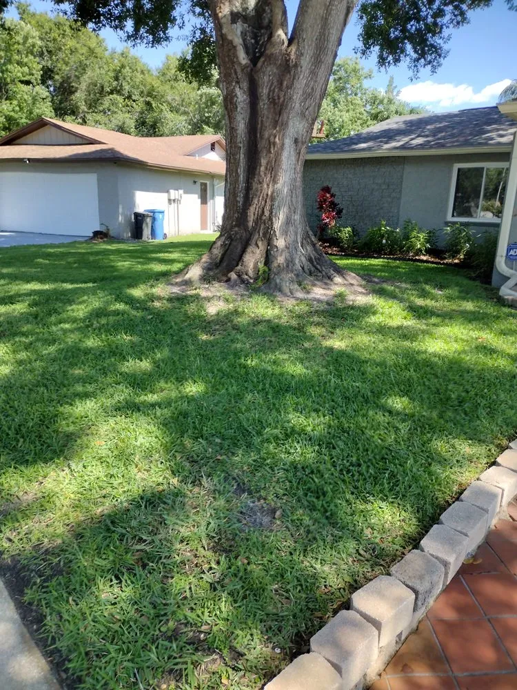 Expert landscaping services in Tampa, FL by GROOVIE TREE AND LANDSCAPING SERVICES