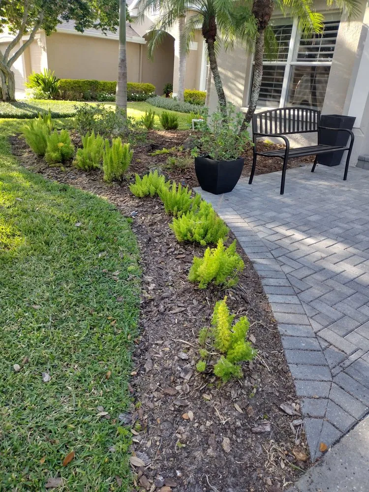 Trusted landscaping services in Tampa, FL by GROOVIE TREE AND LANDSCAPING SERVICES