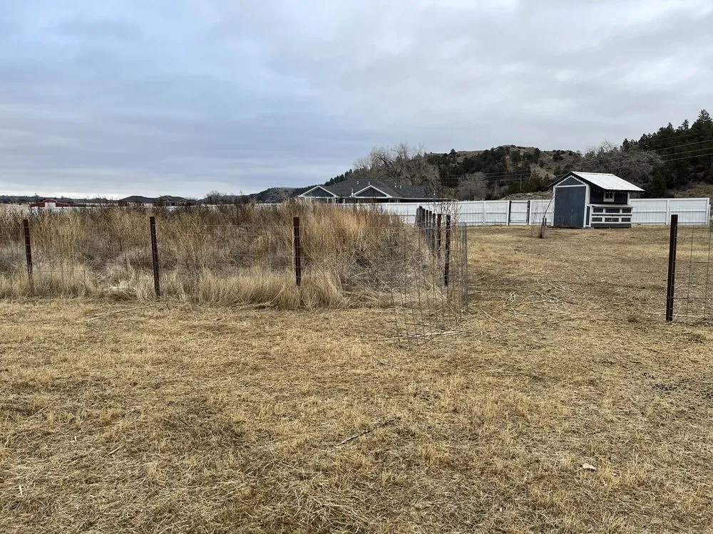 Expert lawn care service near you across Laurel, MT - Groovy Grazers