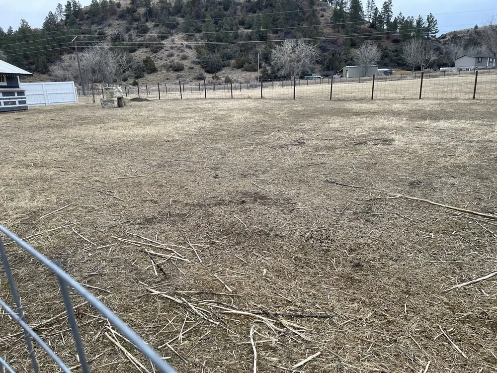 Trusted landscape installation for year-round maintenance across Laurel, MT - Groovy Grazers